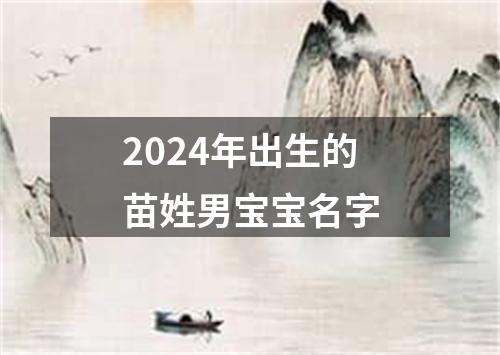 2024年出生的苗姓男宝宝名字