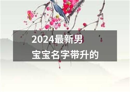 2024最新男宝宝名字带升的