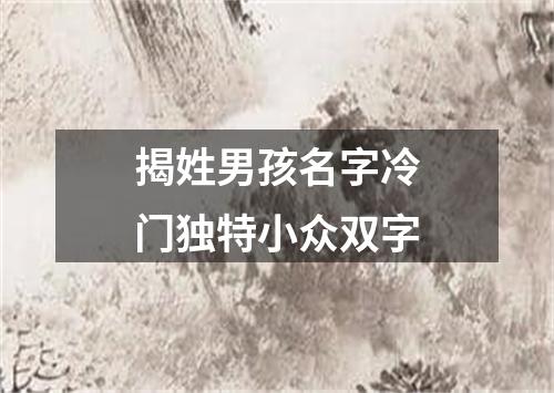 揭姓男孩名字冷门独特小众双字