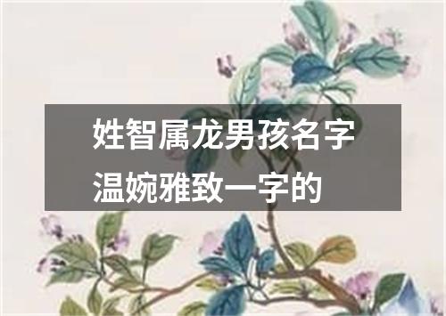 姓智属龙男孩名字温婉雅致一字的