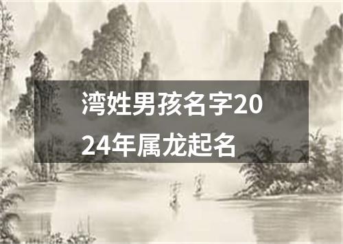 湾姓男孩名字2024年属龙起名