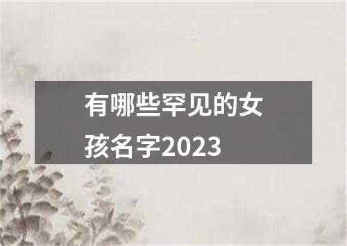 有哪些罕见的女孩名字2023