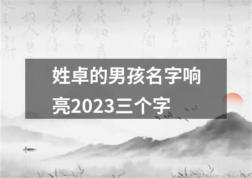 姓卓的男孩名字响亮2023三个字