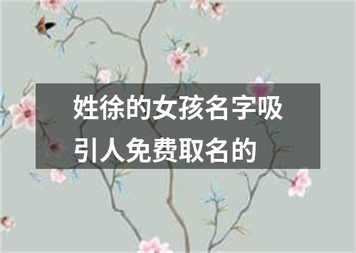 姓徐的女孩名字吸引人免费取名的