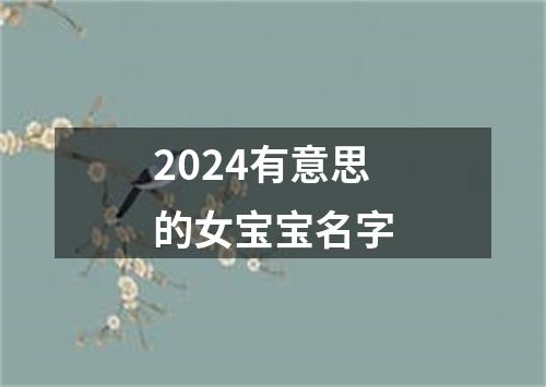 2024有意思的女宝宝名字