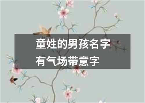 童姓的男孩名字有气场带意字