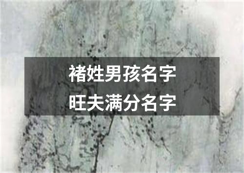 褚姓男孩名字旺夫满分名字