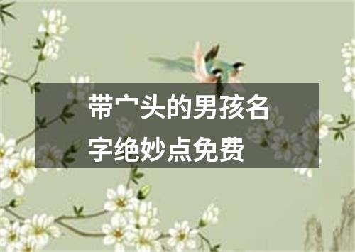 带宀头的男孩名字绝妙点免费