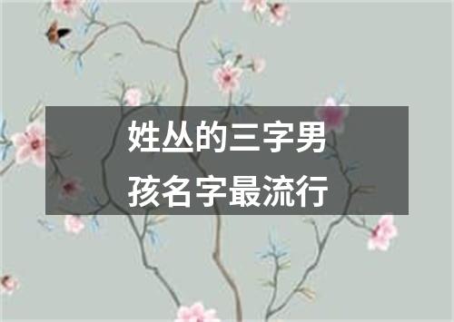 姓丛的三字男孩名字最流行