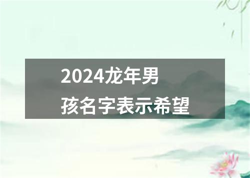 2024龙年男孩名字表示希望