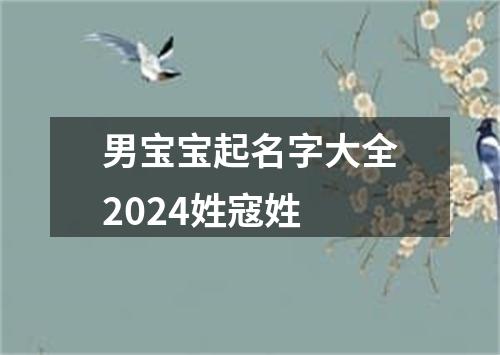 男宝宝起名字大全2024姓寇姓