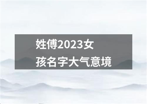 姓傅2023女孩名字大气意境