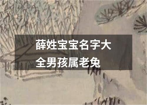 薛姓宝宝名字大全男孩属老兔