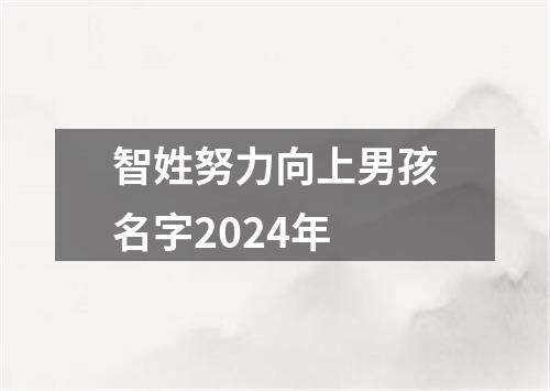 智姓努力向上男孩名字2024年