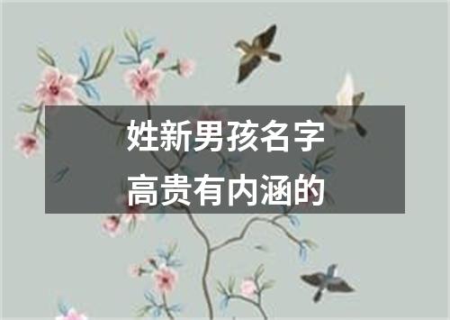 姓新男孩名字高贵有内涵的