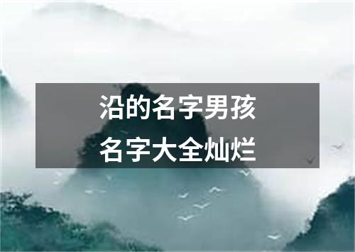 沿的名字男孩名字大全灿烂