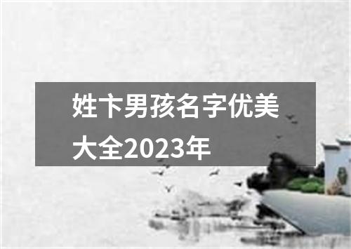 姓卞男孩名字优美大全2023年