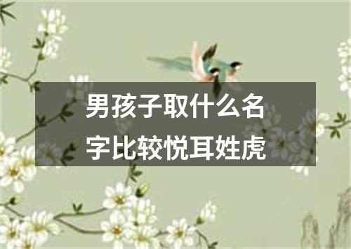 男孩子取什么名字比较悦耳姓虎