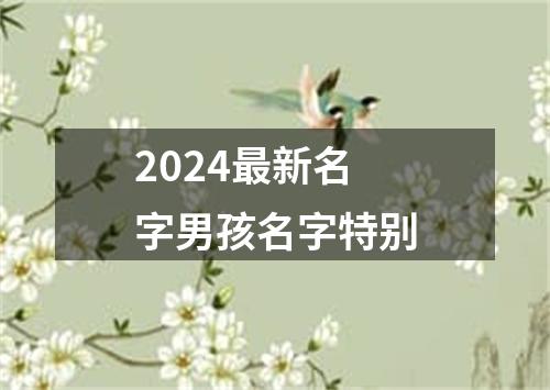 2024最新名字男孩名字特别