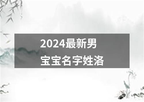 2024最新男宝宝名字姓洛