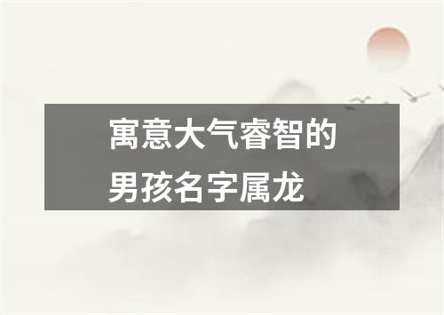 寓意大气睿智的男孩名字属龙