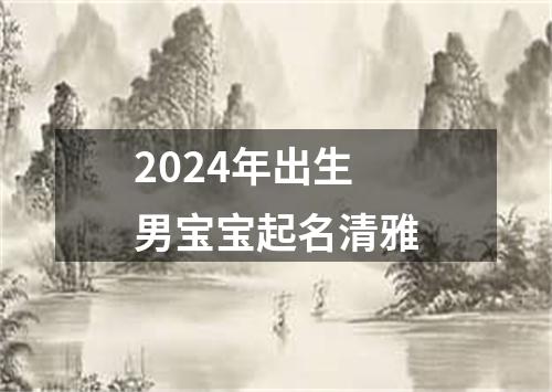 2024年出生男宝宝起名清雅