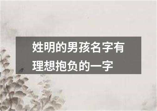 姓明的男孩名字有理想抱负的一字