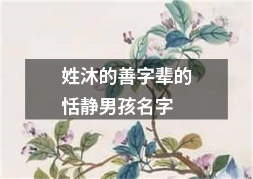 姓沐的善字辈的恬静男孩名字