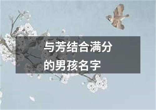 与芳结合满分的男孩名字