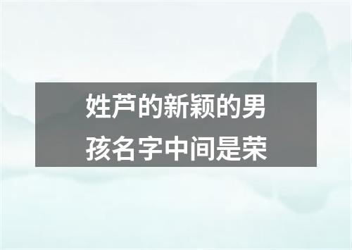 姓芦的新颖的男孩名字中间是荣