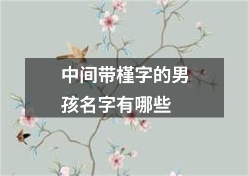 中间带槿字的男孩名字有哪些