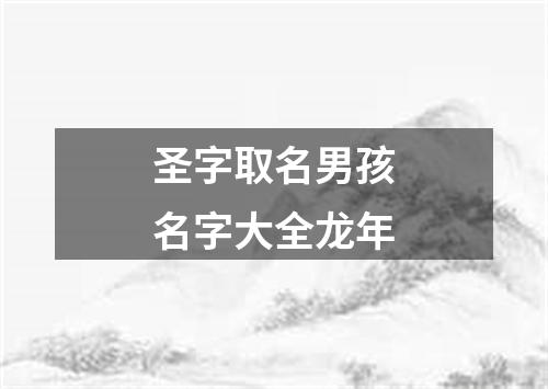 圣字取名男孩名字大全龙年