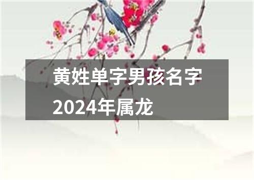 黄姓单字男孩名字2024年属龙