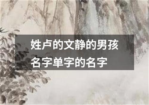 姓卢的文静的男孩名字单字的名字