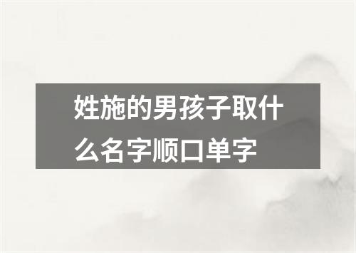 姓施的男孩子取什么名字顺口单字