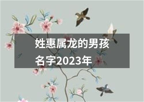 姓惠属龙的男孩名字2023年