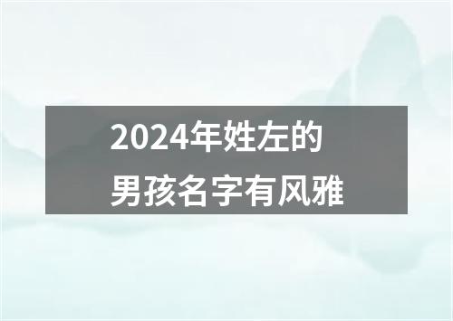 2024年姓左的男孩名字有风雅