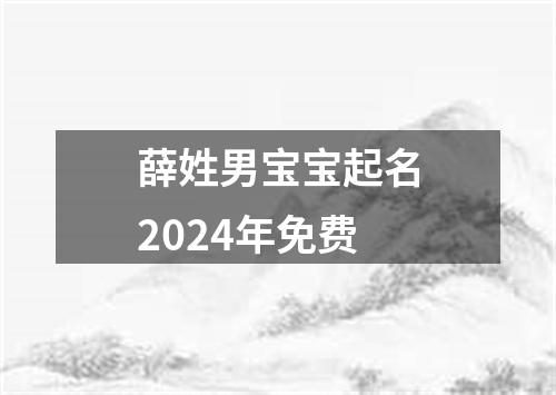 薛姓男宝宝起名2024年免费