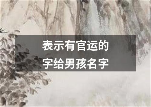 表示有官运的字给男孩名字