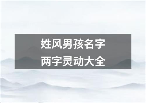 姓风男孩名字两字灵动大全