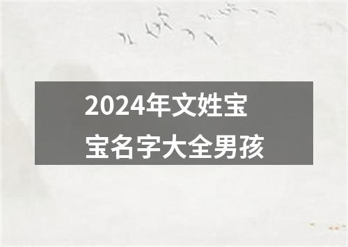 2024年文姓宝宝名字大全男孩