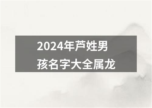 2024年芦姓男孩名字大全属龙