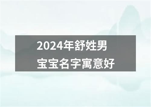 2024年舒姓男宝宝名字寓意好