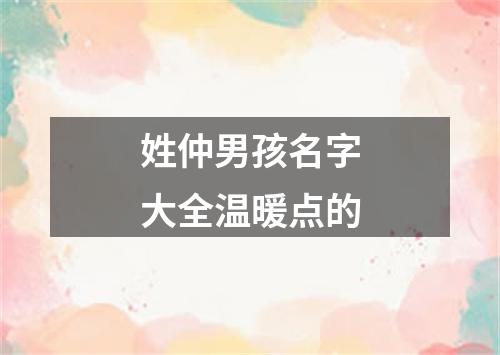 姓仲男孩名字大全温暖点的