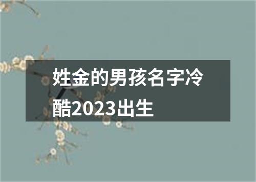 姓金的男孩名字冷酷2023出生