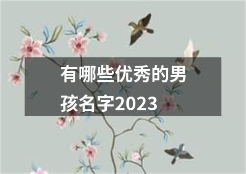 有哪些优秀的男孩名字2023