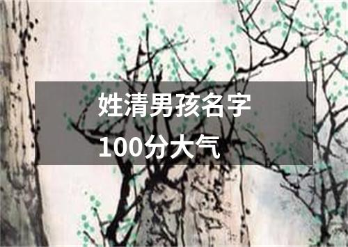 姓清男孩名字100分大气