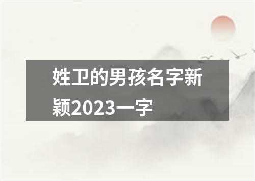 姓卫的男孩名字新颖2023一字