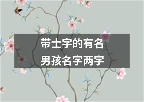 带士字的有名男孩名字两字