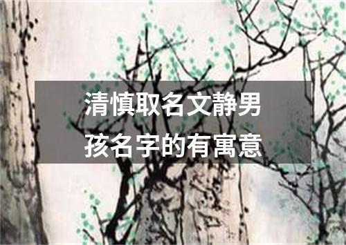 清慎取名文静男孩名字的有寓意